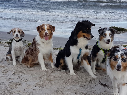 Gruppenbild mit Damen