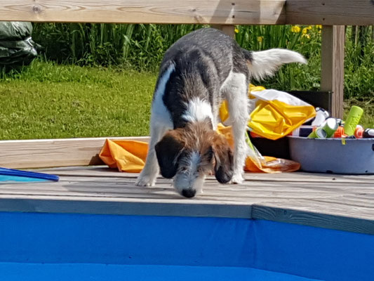 Urlaub im Allgäu 2017