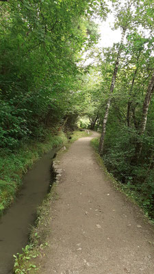 Rablander Waalweg - sentiero della roggia di Rablà - path alongside the water channels di Rablà