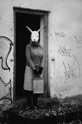 'the rabbit is back'