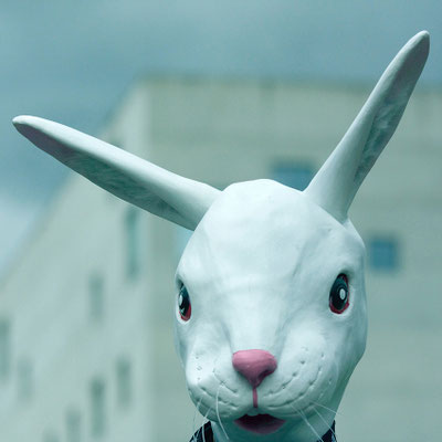 'the rabbit'