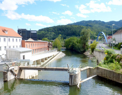 Zusammenfluss Mur und Mürz 