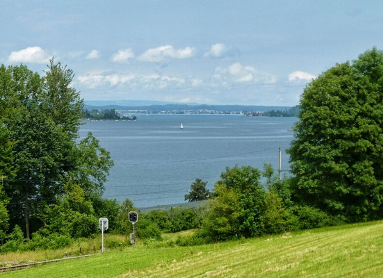 Schöner Blick vom Radweg auf den See 