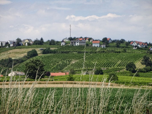 Kellerstöckel am Eisenberg