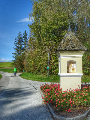 Franz in voller Fahrt nach Projern