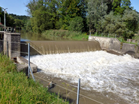 viel Wasser in der Gurk bei Launsdorf