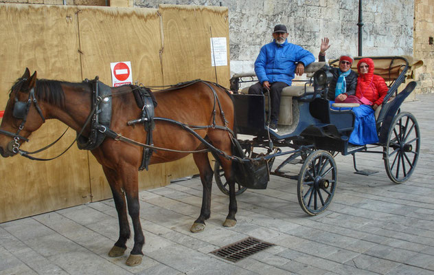 Fiakerfahrt durch Palma