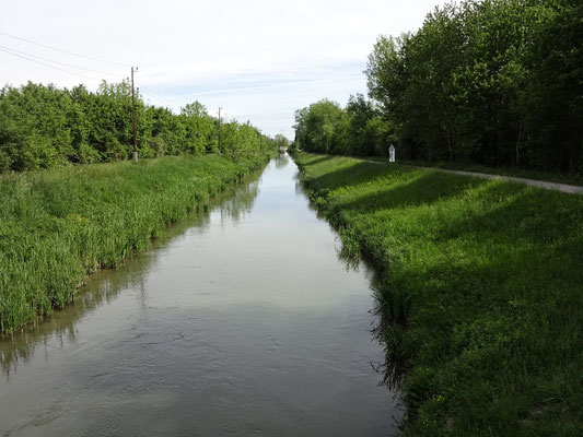 Wr. Neustädter Kanal