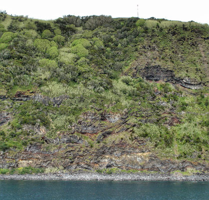 Unglaublich wie auf Lava Grünes gedeiht 