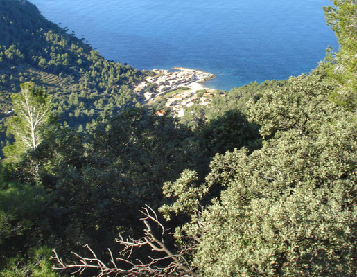 Port valldemossa