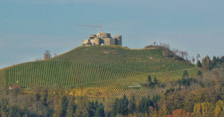 Burg Taggenbrunn