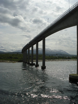 unter der Autobrücke