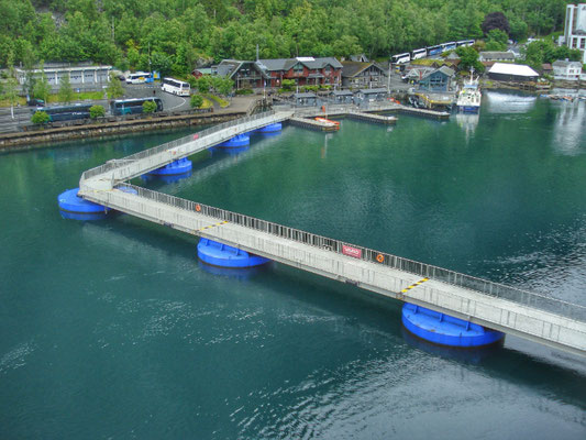 und schwimmt zum Schiff