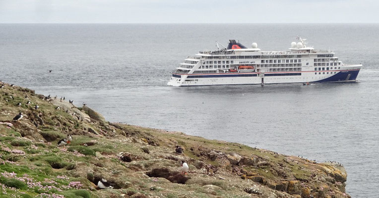 Vogelfelsen und unsere Hanseatic Spirit