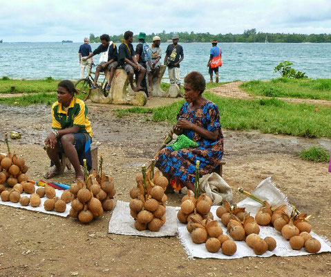 Kokosnüsse am Markt von Kavieng