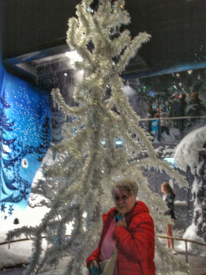 Kältekammer mit echtem Schnee bei - 5°