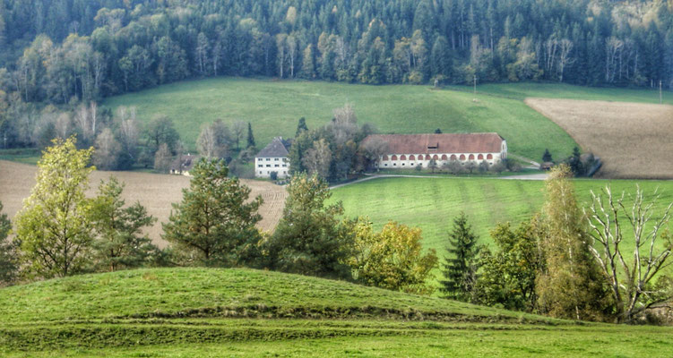 Blick auf das Sygergut meiner Bridge Partnerin Gerda