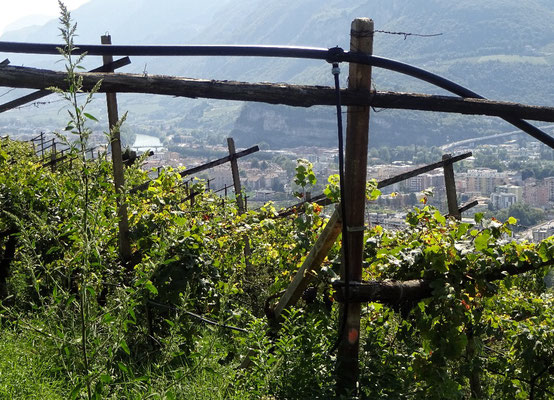 Blick auf Trento