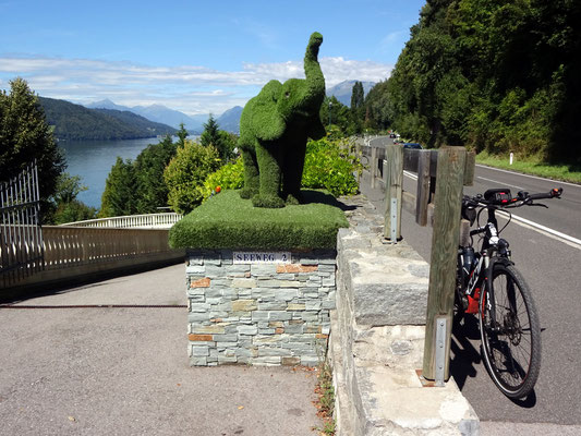 ein Babyelefant beim Millstättersee