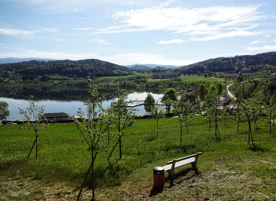 Auf geht es beim Längsee