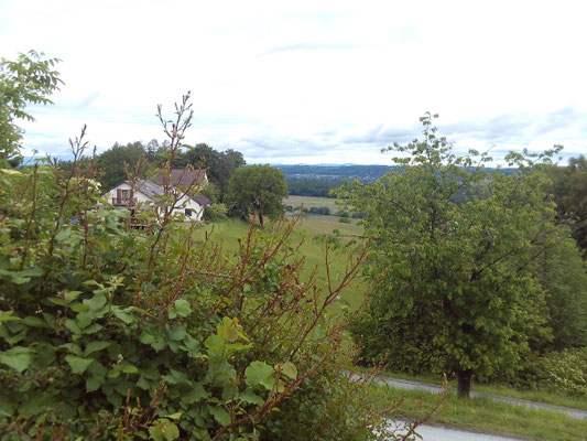 Blick in die Gegend