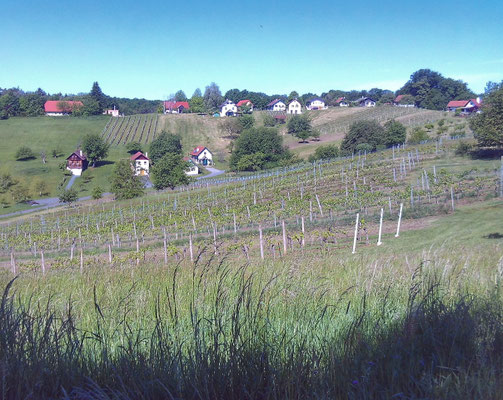 Schöne Kellerstöckl in der Landschaft