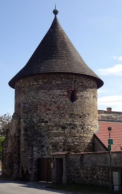 Stadtturm Marchegg