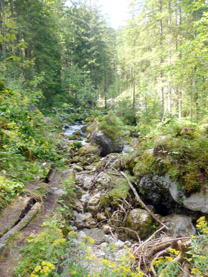 beim Gollinger Wasserfall