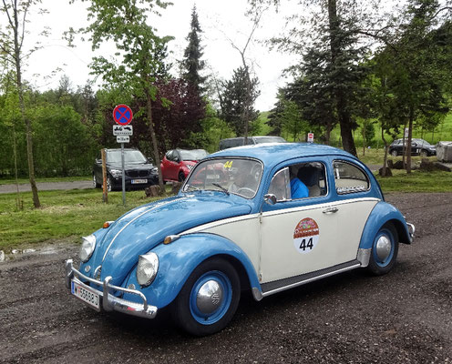 VW Käfer Typ 11