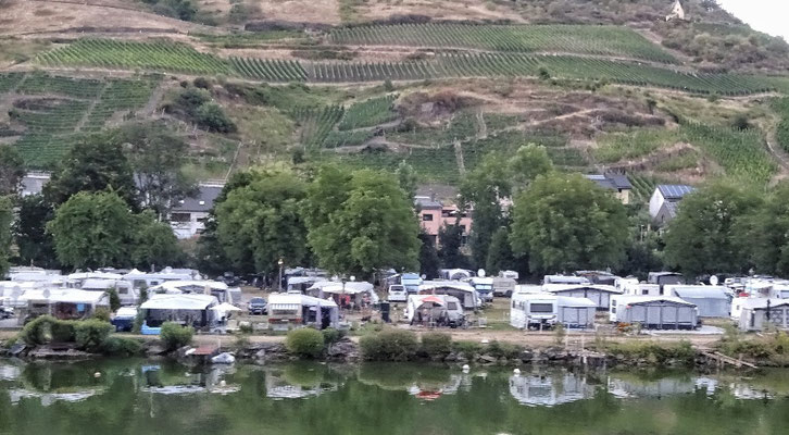 Unglaublich viele Campingplätze an der Mosel 