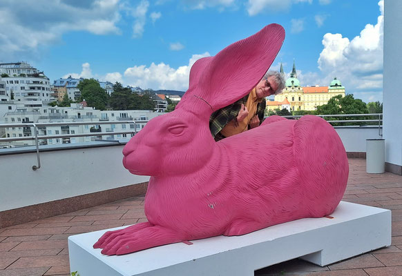 Dürer Hase in Klosterneuburg...
