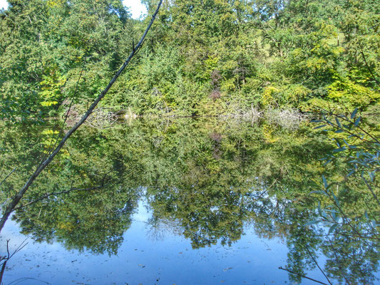See (Teich)  vor Klein St. Veit