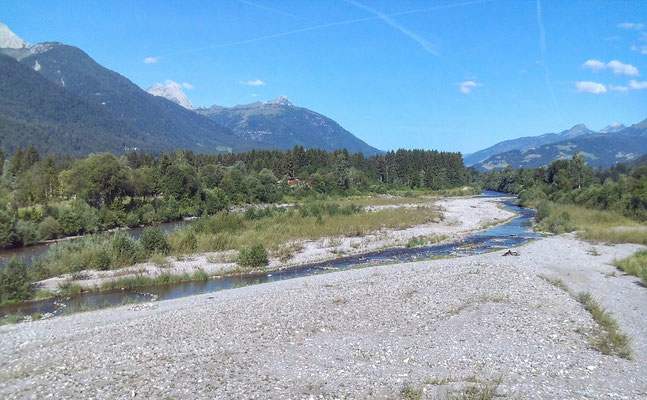 Gail mit sehr wenig Wasser