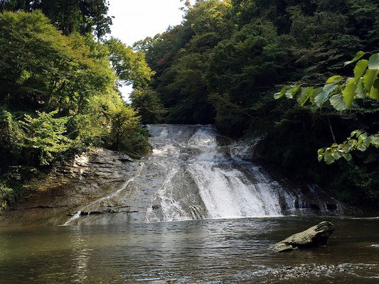 粟又の滝（養老の滝）房総一を誇る名瀑布です。  100メートルにわたって滑り台のような岩肌をゆるやかに流れ落ちるこの滝は、みごとです。