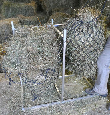 Das Netz abhängen, der Fuß hält den Ständer am Boden