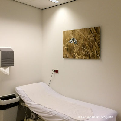 Polikliniek cardiologie, Jeroen Bosch Ziekenhuis