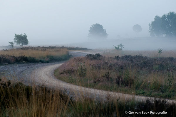 Strabrechtse heide