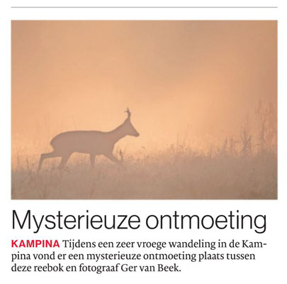 Mysterieuze ontmoeting, Brabants Dagblad