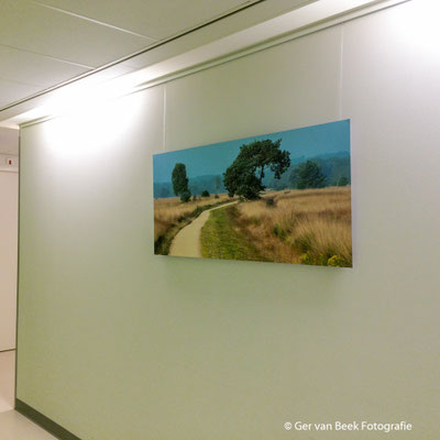 Polikliniek cardiologie, Jeroen Bosch Ziekenhuis