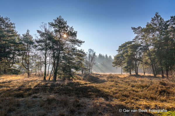 Regte heide