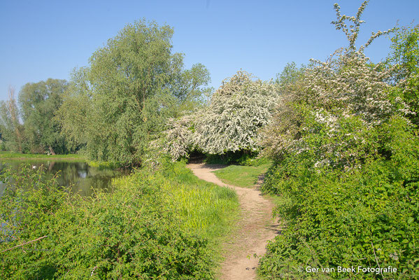Empelsewaard