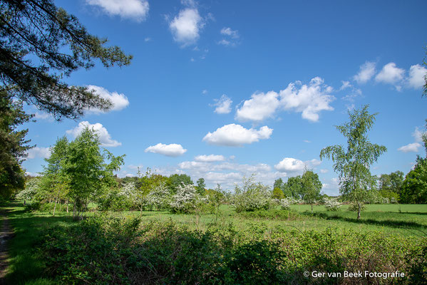 Huis ter Heide