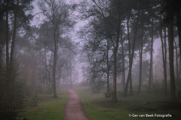 Kampina