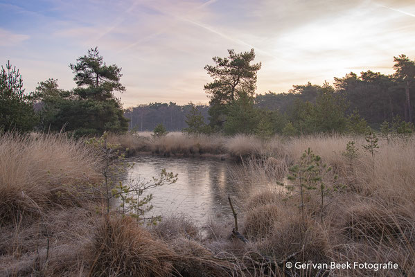 Kampina