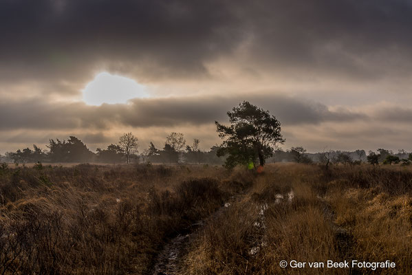 Kampina