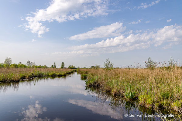 Zouweboezem