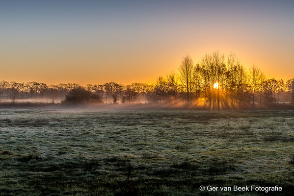 Banisveld