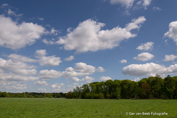 Huis ter Heide