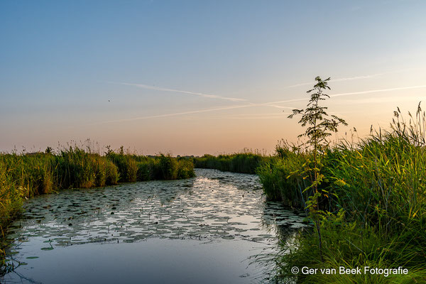 Oude Zederik