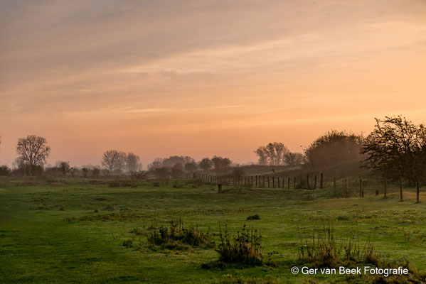 Koornwaard